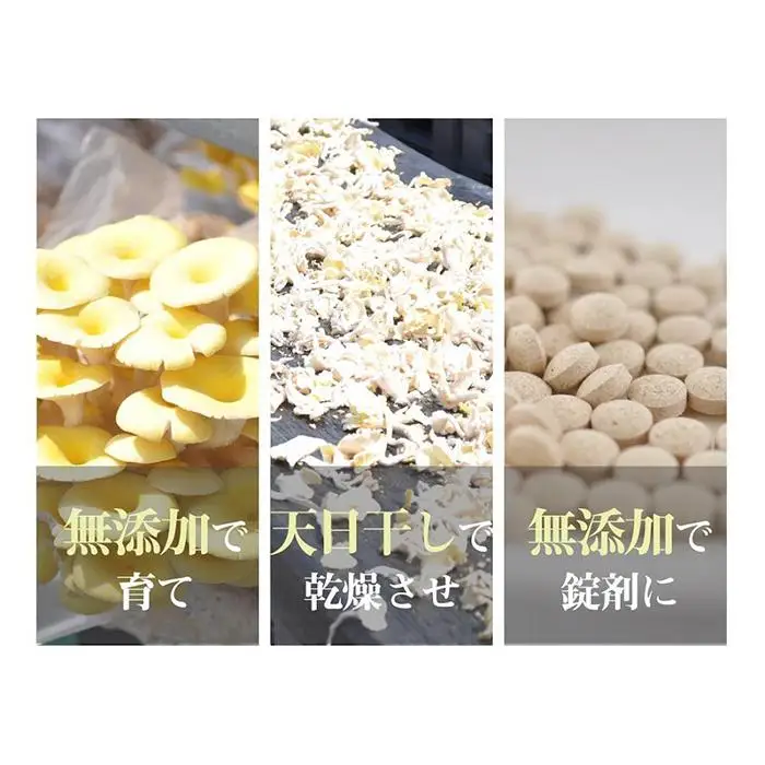ララ　天日干し　たもぎたけ 国産・無添加・無農薬