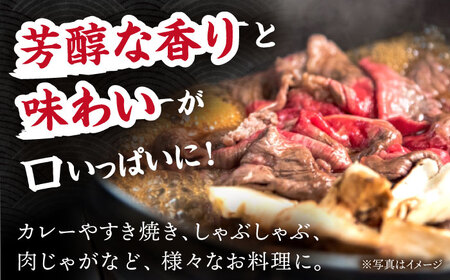 飛騨牛 切り落とし 500g (250g×2) [TDC009] 牛肉 小分け