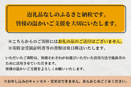 佐賀県鹿島市への寄付（返礼品はありません） 1口 10万円【返礼品なし】Z-20