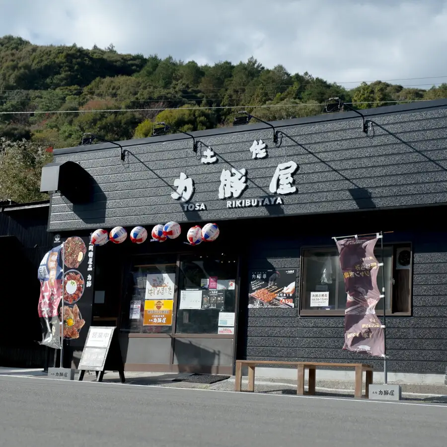 国産 ブランド豚 力豚使用 土佐力豚屋の特製豚まん 4個入り ご当地グルメ 冷凍配送 高知県産