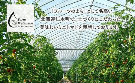 先行受付【2026年産】ミニトマト ジュース (北海道 仁木町産 ミニトマト[エコスイート]100%) 1L×6本 無塩・無糖・保存料無添加【栽培期間中 農薬・化学肥料不使用 】 野菜飲料 ジュース トマト [Farm Watanabe]
