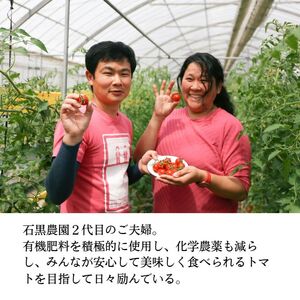 トマト 毎日食べたい石黒さんちの ミニトマト たっぷり 3kg 岡山県 瀬戸内市産 石黒農園