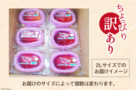 【2026年夏発送】 訳あり 宮崎 完熟 マンゴー 約 2kg [宮崎県農業協同組合日向地区本部（販売課） 宮崎県 日向市 452060660]