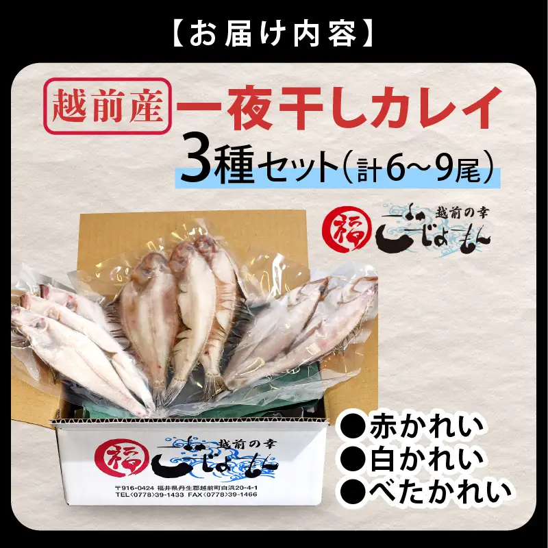 越前産 かれい「一夜干しカレイ3種セット（合計6～9尾）」【かれい カレイ 鰈】 [e15-a001]