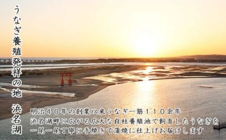 うなぎ 訳あり 浜名湖 国産 蒲焼 きざみ (60g×10) たれ セット 小分け カット うなぎ蒲焼 きざみうなぎ 惣菜 おかず 丑の日 ひつまぶし 鰻 冷凍 静岡 浜松市 5月6日以降順次発送 配送不可：離島