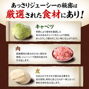 元祖 浜松餃子 石松の浜松餃子 食べ比べセット 石松餃子 40個 肉餃子 18個 セット 詰め合わせ ぎょうざ 餃子 ギョーザ 冷凍餃子 冷凍ぎょうざ 冷凍 冷凍食品 中華 惣菜 食品 おかず 食べ比べ 静岡 静岡県 浜松市 【配送不可：離島】