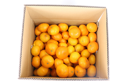 【ご家庭用】早生温州9kg玉津柑橘倶楽部みかん|B010-072001