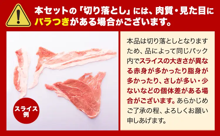 豚肉 バラエティセット 4.6kg 豚肉 バラ肉《7-14日以内に出荷予定(土日祝を除く)》