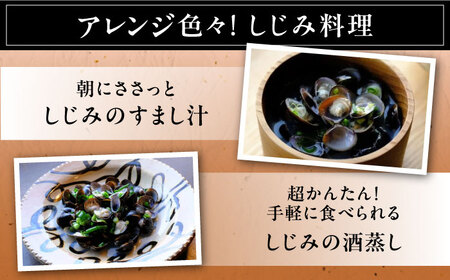 しじみ 【2ヶ月ごと全6回定期便】宍道湖産ヤマトシジミ(冷凍砂抜き済み)Lサイズ1kg×2袋(2kg) 島根県松江市/宍道湖漁業協同組合[ALAZ004] しじみ しじみ