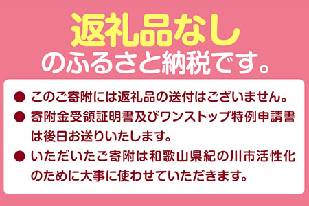 和歌山県 紀の川市 応援寄附 1口 1000円【返礼品なし】