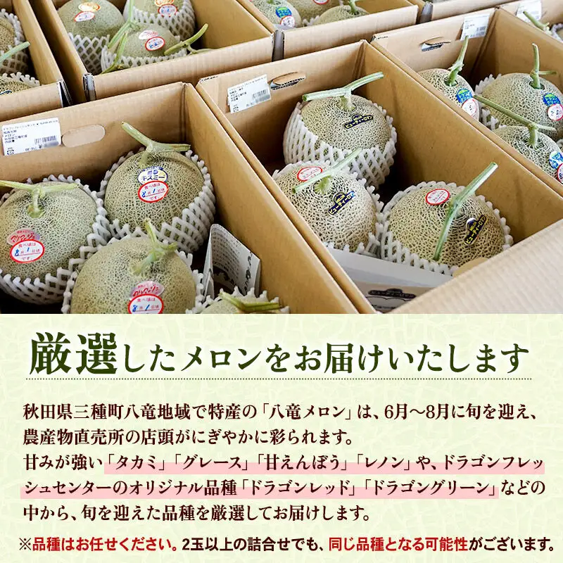 三種町特産 品種お任せ メロン 1玉箱（品種お任せ）