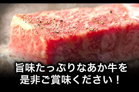 あか牛 サーロインステーキ 計400g(200g×2枚) あか牛の館 《60日以内に出荷予定(土日祝除く)》熊本県 南阿蘇村
