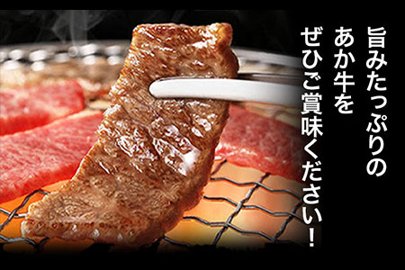 あか牛 上バラ(カルビ)焼肉用 200g×2パック あか牛の館 《60日以内に出荷予定(土日祝除く)》熊本県 南阿蘇村