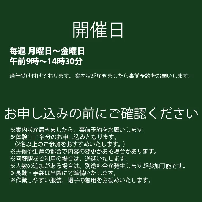 阿蘇蔵農園 阿蘇のカルデラで農業体験＆お散歩 野菜スムージー・お弁当あり