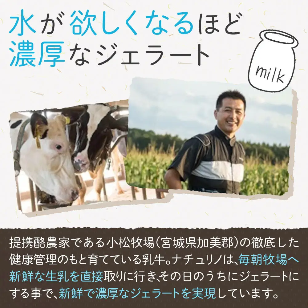 ナチュリノ自慢の手づくりジェラート 6種 自然派 人気店 Gelateria Natu-Lino natulino