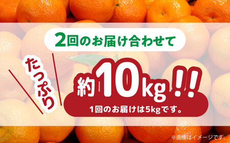 【2026年12月-発送】【2回定期便】温州みかん 約5kg（傷もの）みかん / 南島原果物屋 [SCV018]