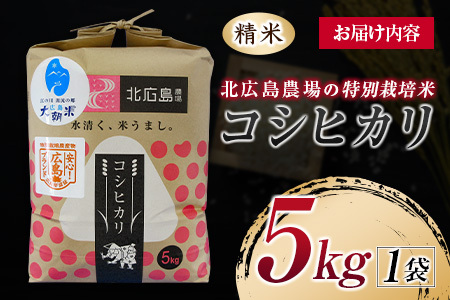 北広島農場 特別栽培米 コシヒカリ 精米5kg 2025年産米 米どころ北広島町のおいしいお米_NI083_002
