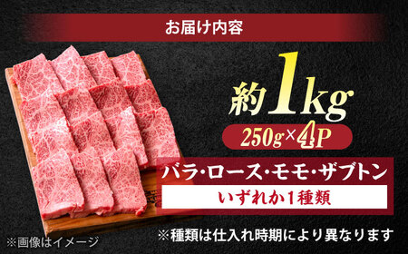 和牛 しまね和牛 焼肉用 約1kg 島根県松江市/株式会社O.R.C[ALEF002] 和牛 和牛