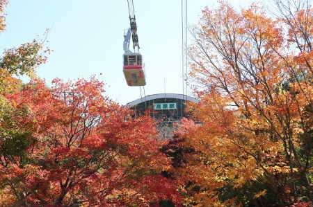 別府ロープウェイ　往復乗車券　大人　1枚_B029-002