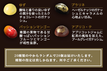 【ふるなびWEEK対象】【匠の技】菓子工房 ひのでや てづくり ショコラ 20個 詰め合わせセット【シェフのこだわりと技術が詰まったチョコレート】 C-95