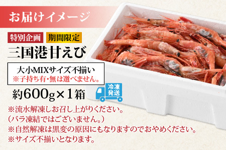 【特別企画】【訳あり】三国港から産地直送！「三国港甘えび」 500g + 100g 合計約600g ～本場の濃厚な甘海老を是非ご賞味ください！～ 【わけあり ワケアリ 濃厚 甘い 刺身 生食可 生 冷凍 有頭 新鮮 魚介類 国産 県産】 [A-6233]