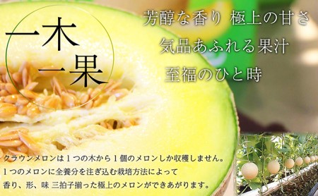 クラウンメロン【上（山等級）】特大玉（1.5kg前後）3玉入り 果物 フルーツ マスクメロン 上品な甘み とろける 柔らかい 王冠シール デザート おやつ おもてなし 
