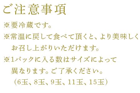 『先行予約』【令和9年2月中旬発送】唐津産 白いちご「雪うさぎ 」苺 イチゴ 希少 果物 フルーツ 脇山農園