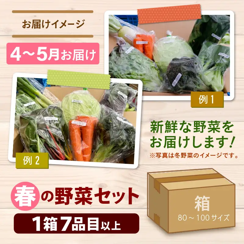 【先行予約】農家直送 春野菜セット 1箱 7品目以上 《元気に育った新鮮野菜！》／ 季節 春 野菜 ボックス BOX セット セレクト 農家 おまかせ 多品目 旬 詰め合わせ  ※2027年4月下旬以降発送 [aw028-a008]