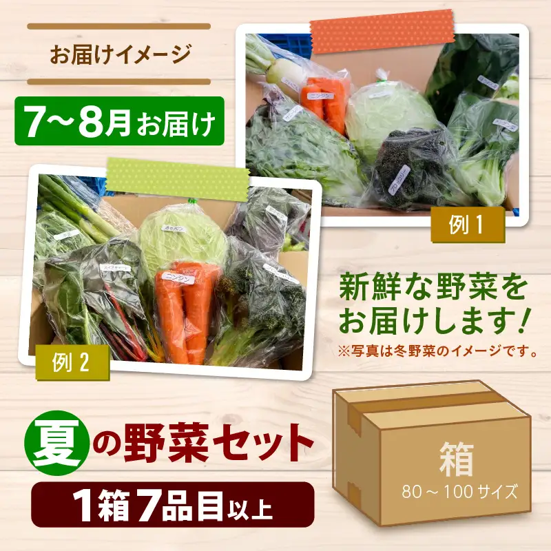 【先行予約】農家直送 夏野菜セット 1箱 7品目以上 《元気に育った新鮮野菜！》／ 季節 夏 野菜 ボックス BOX セット セレクト 農家 おまかせ 多品目 旬 詰め合わせ ※2026年7月中旬以降発送 [aw028-a009]