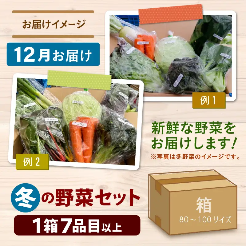 【先行予約】農家直送 冬野菜セット 1箱 7品目以上 《元気に育った新鮮野菜！》／ 季節 冬 野菜 ボックス BOX セット セレクト 農家 おまかせ 多品目 旬 詰め合わせ ※2026年12月上旬以降発送 [aw028-a011]