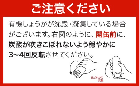ジンジャーエール 250ml×30缶 光食品 