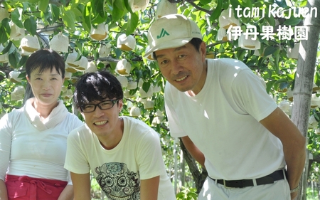 【2026年先行予約】新潟特産 幻の洋梨ル・レクチェ 家庭用 約2kg（5〜7玉）《11月下旬～順次出荷》 令和5年新潟県ル・レクチェ果実品評会「県知事賞」 いたみ果樹園