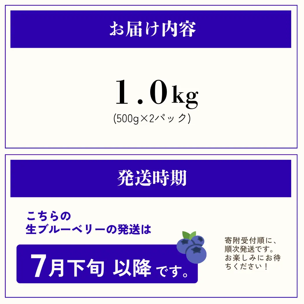 ブルーベリー 生果実 1kg 先行予約 生ブルーベリー 無農薬 丹波市産 7月下旬発送