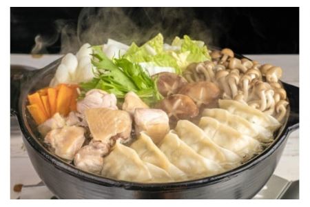 冷凍生餃子 135個 〈野菜たっぷり手作り〉〈丹波市産〉 餃子 加工食品