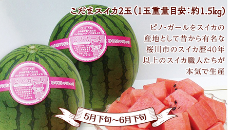 【 全4回 定期便 】 数量限定 贅沢 フルーツ 満喫コース メロン いちご フルーツトマト スイカ 【 2026年9月上旬から発送開始 】 [BC057sa]