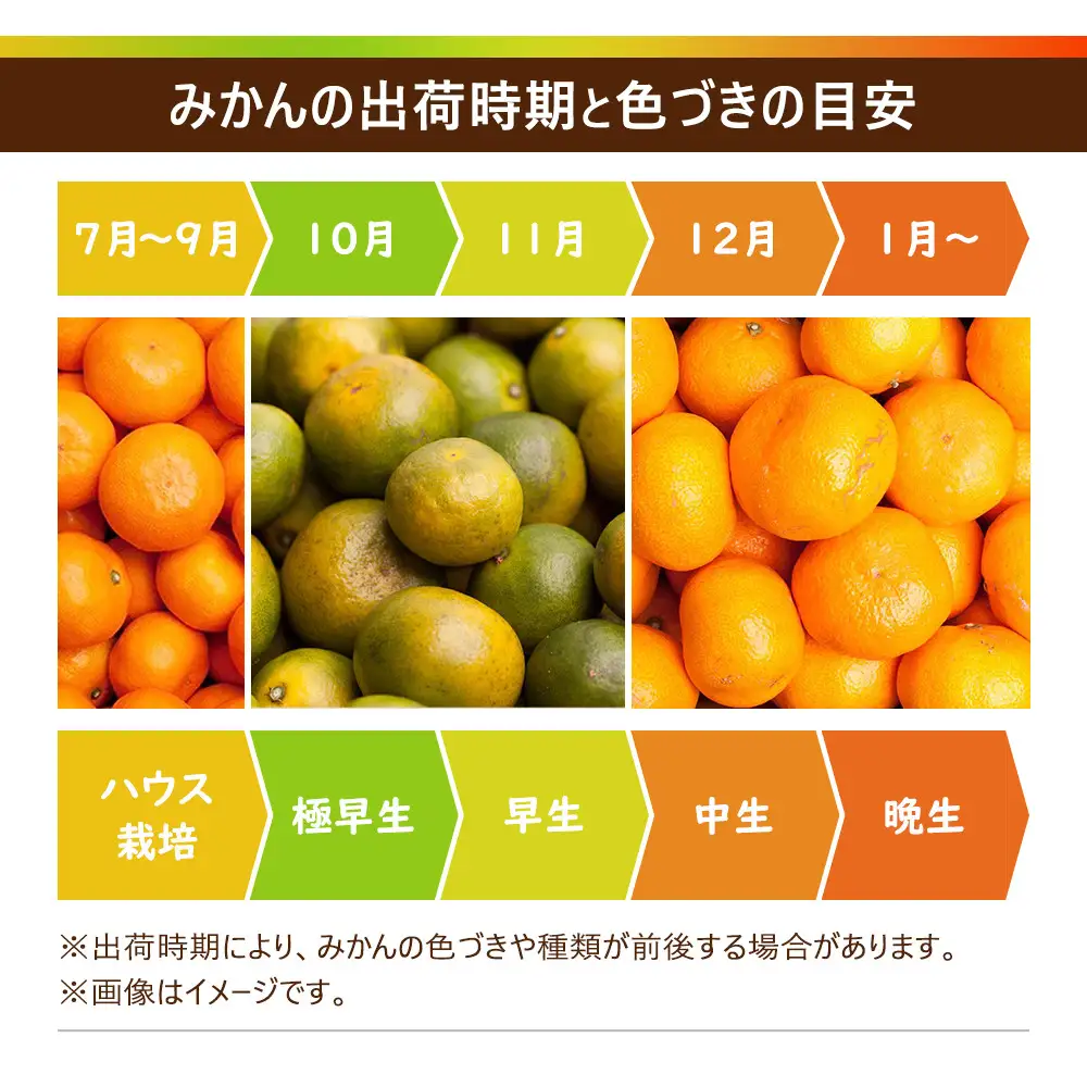 ［先行予約］プレミアム 有田みかん2.5kg+250g（傷み補償分）［2026年10月初旬から2027年1月末日頃順次発送予定］［IKE251］