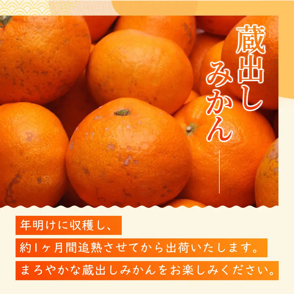 ［先行予約］家庭用 蔵出しみかん2.5kg+250g（傷み補償分）［2027年1月中旬から2027年2月末日頃、順次発送予定］［IKE224］