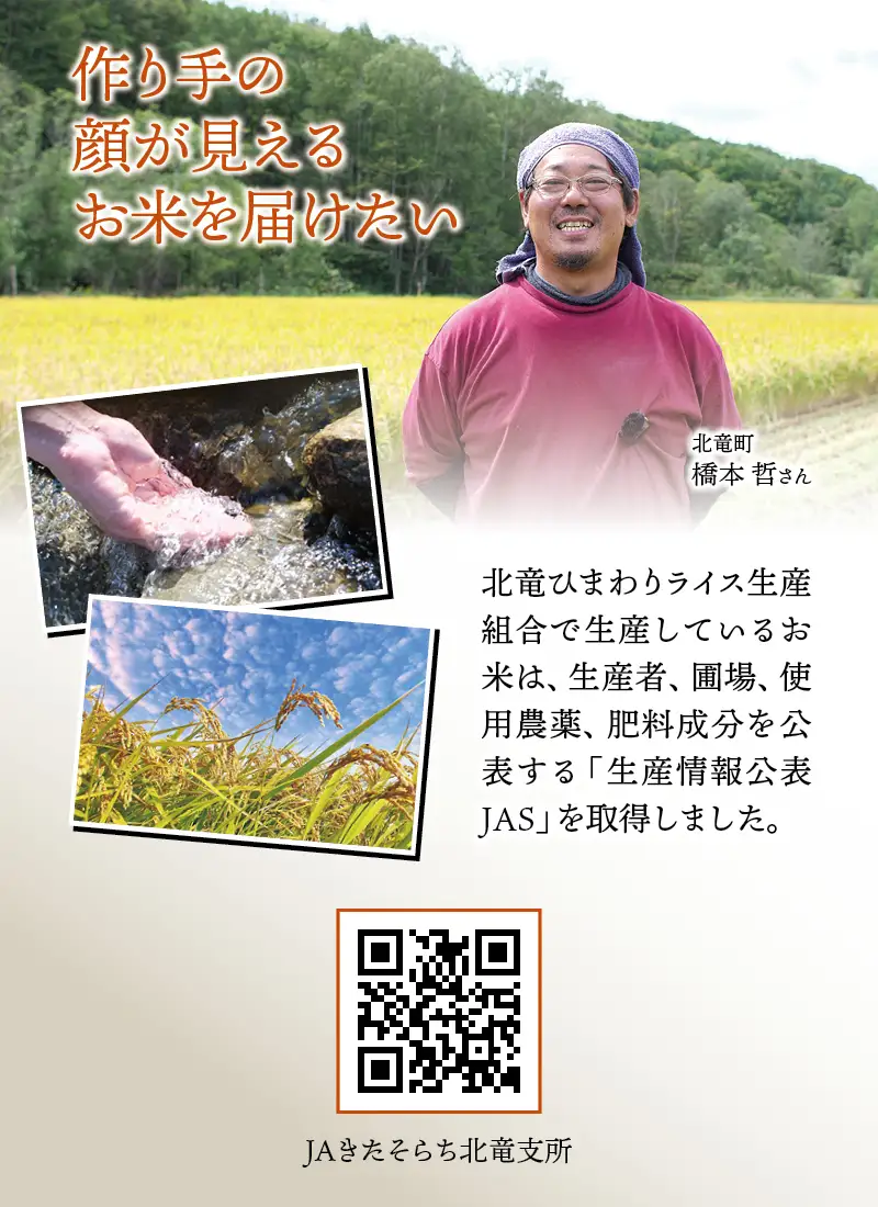 【令和7年産】 ななつぼし 4kg (4キロ) 【sun400-nana-r4-R7】