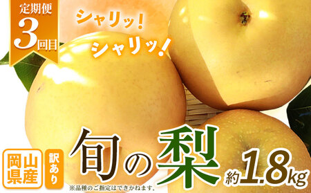 フルーツ定期便 3回 桃 シャインマスカット 梨