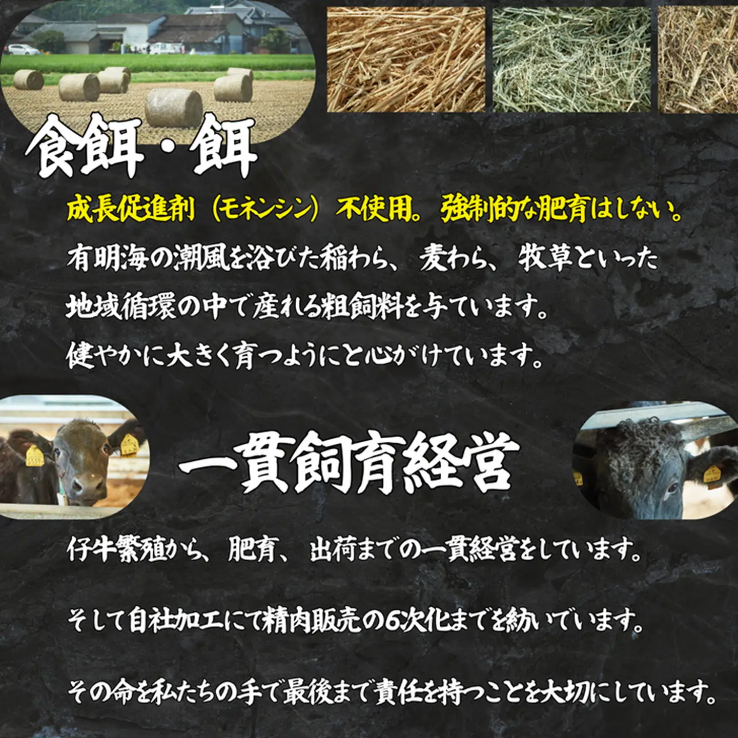 【定期便6回】佐賀牛 至福のきりおとし 500g：B730-006