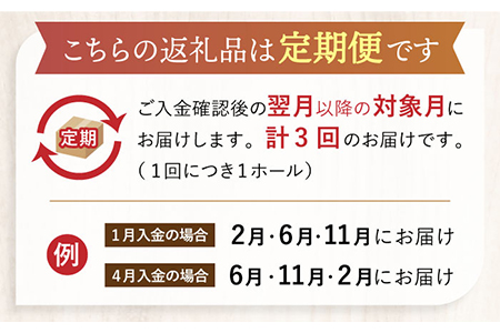 【3回定期便】 旬の食材や果物で作った パティシエセレクト ケーキ  【ルポ】 [TBN029]