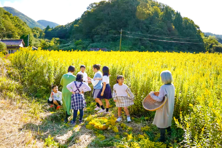 SANBE Botanicals〈セイタカアワダチソウ〉百済浦の藻塩バスソルト4個セット【バスソルト 4個 詰め合わせ セット バス用品 お風呂 ギフト プチギフト 個包装 母の日】