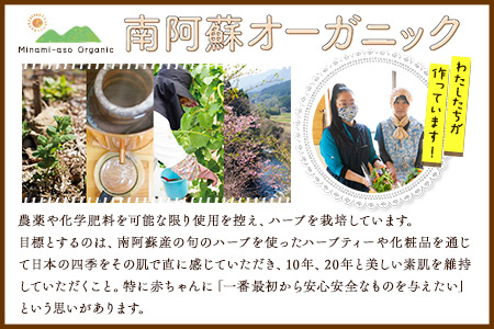 南阿蘇オーガニック 旬の野菜セット10種類以上詰め合わせ《30日以内に出荷予定(土日祝除く)》熊本県 南阿蘇村 野菜 カブ ビーツ サニーレタス クレソン ブロッコリー 水前寺菜 ほうれん草２種 チンゲン菜 春菊 スイスチャード