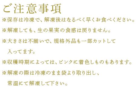 唐津産 冷凍白いちご「雪うさぎ」500g×2袋(合計1kg) 真空包装 加工品用 苺 イチゴ 希少 果物 フルーツ