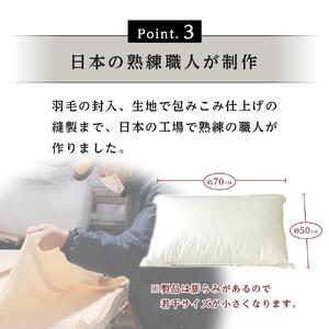 ホテル リッチフェザーピロー羽根枕（L)50×70cｍ