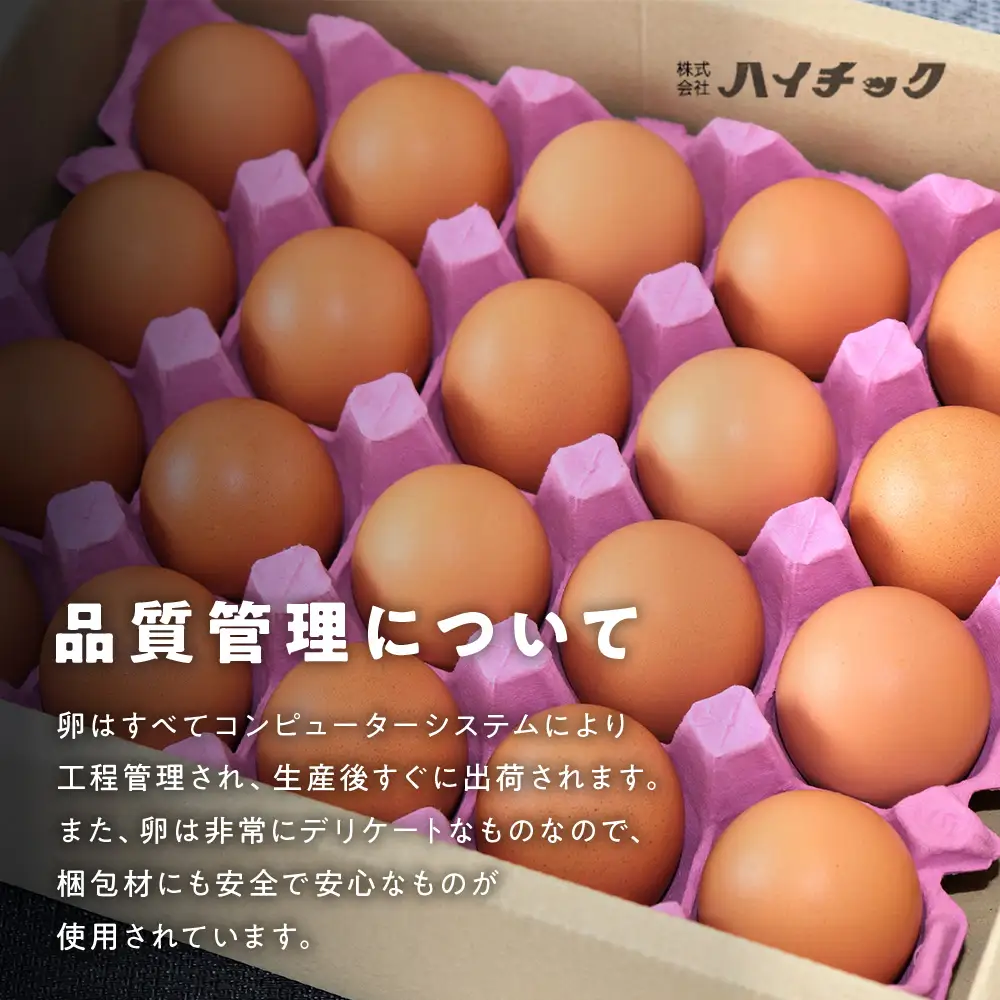 ワインたまご 20個入り 卵  AI-1