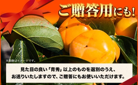 青秀以上 たねなし柿約7.5kg L~2Lサイズおまかせ32～36玉