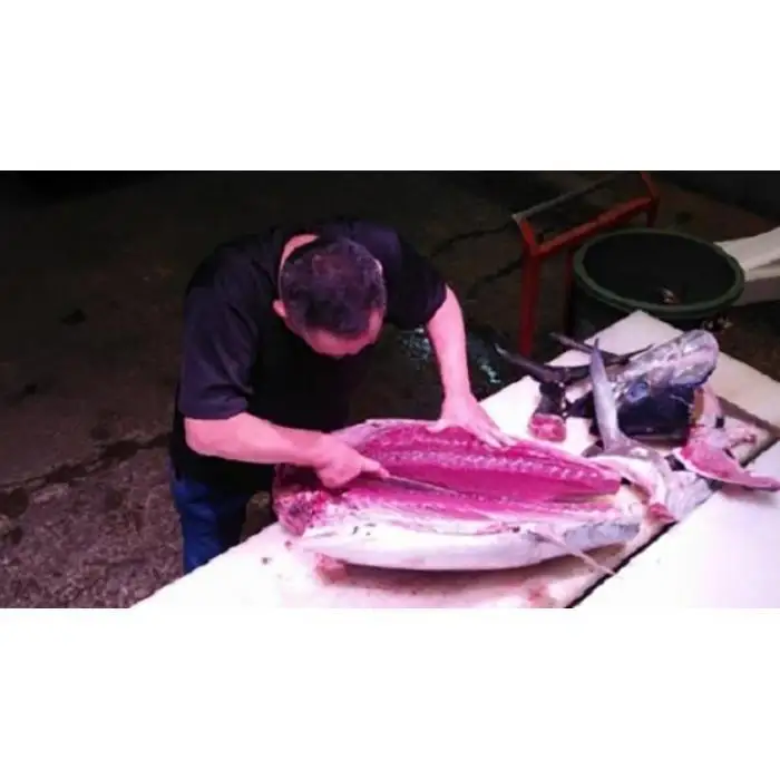 【定期便全3回】生まぐろ 約1kg まぐろ