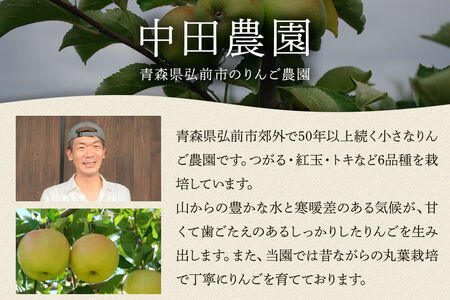 ハードサイダー【アルマナウラカ】 750ml 1本 （ジュニャーナムドラTJW） JAPAN CIDER CUP 2025 ウッド／樽熟成サイダー 銀賞