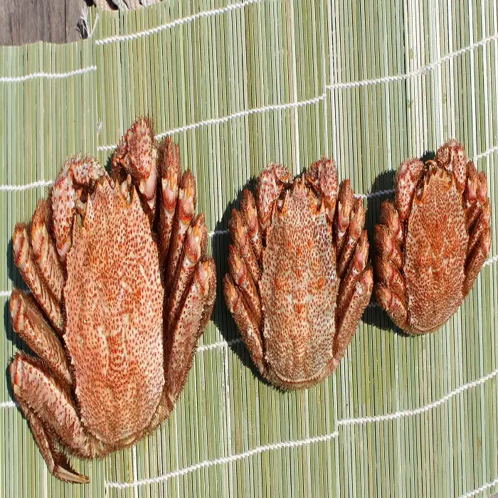 特大!毛がに（冷凍）北海道雄武町産(800g前後×1)【1240401】